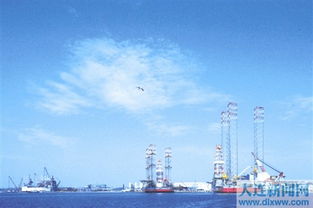 大連灣臨海裝備制造業(yè)聚集區(qū)順利通過(guò)遼寧省知名品牌創(chuàng)建示范區(qū)驗(yàn)收